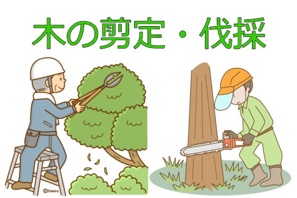 香川県高松市の木の剪定伐採 | 総合サービス猫の手